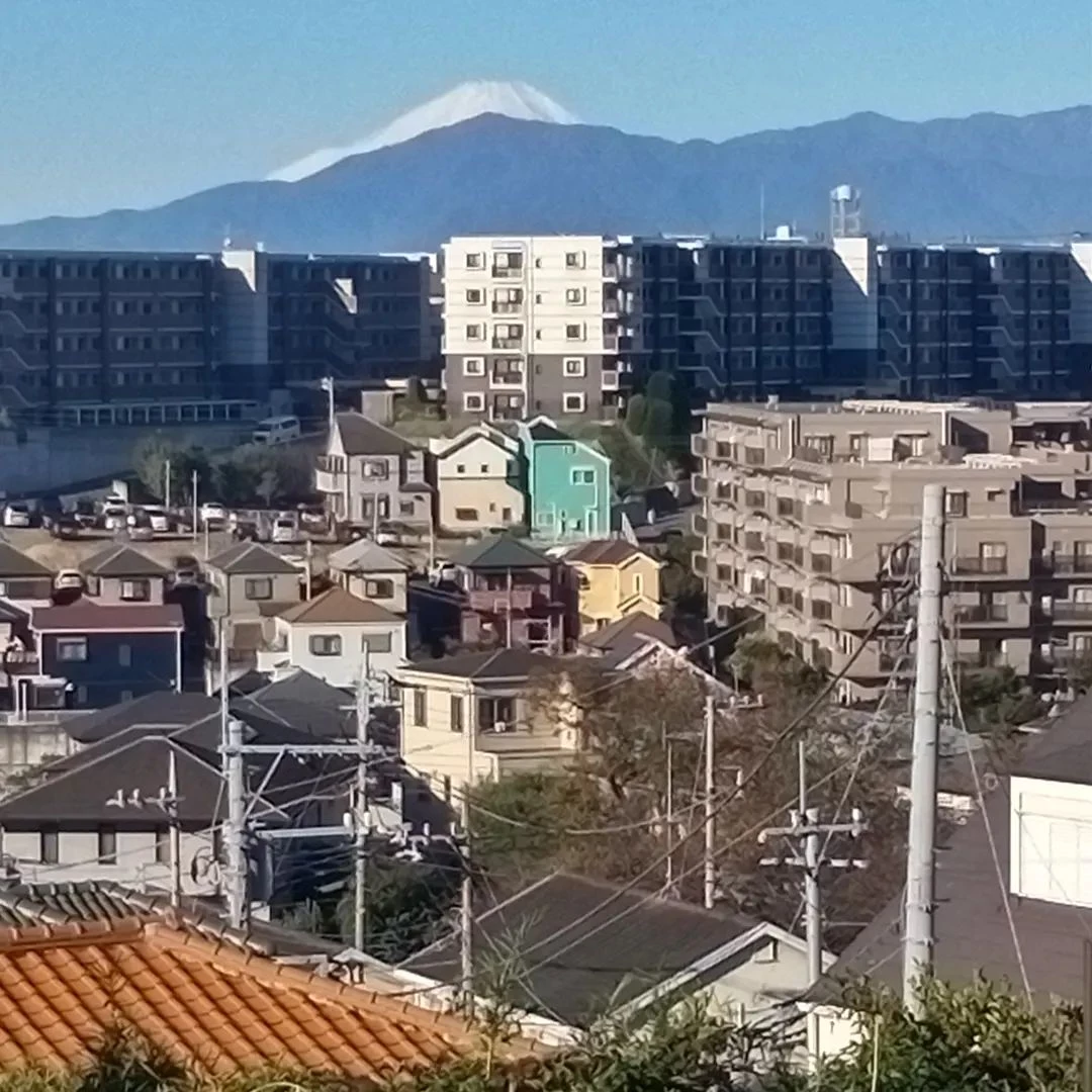 朝、犬の散歩中に見た富士山。