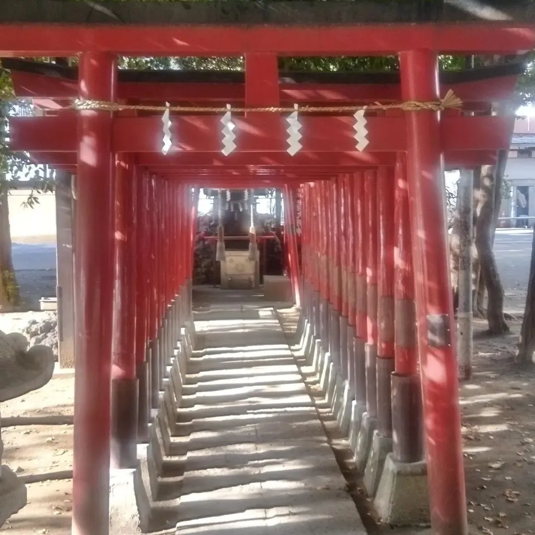 神社は気のあふれる場所