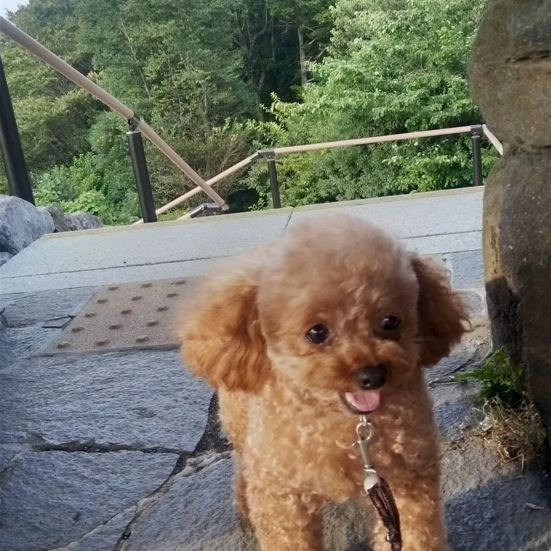 今日も来ました四季の森公園。