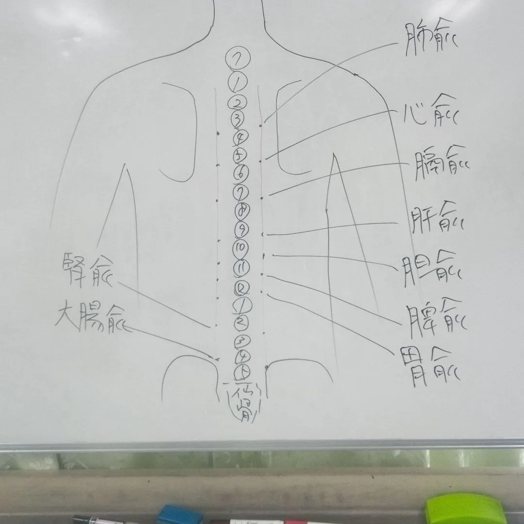 応用講座での整体授業