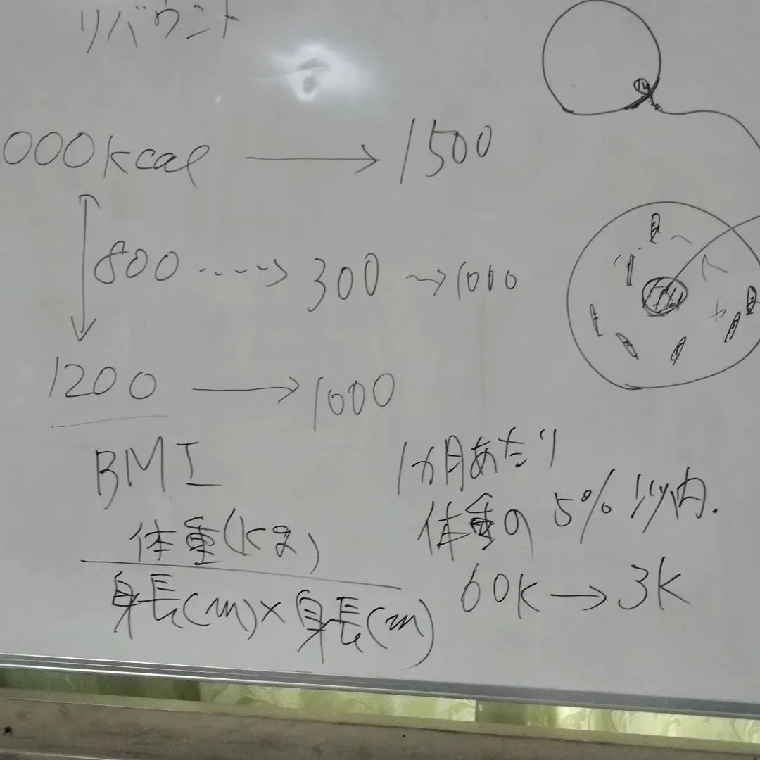 先週土曜日の入門講座テーマはダイエット