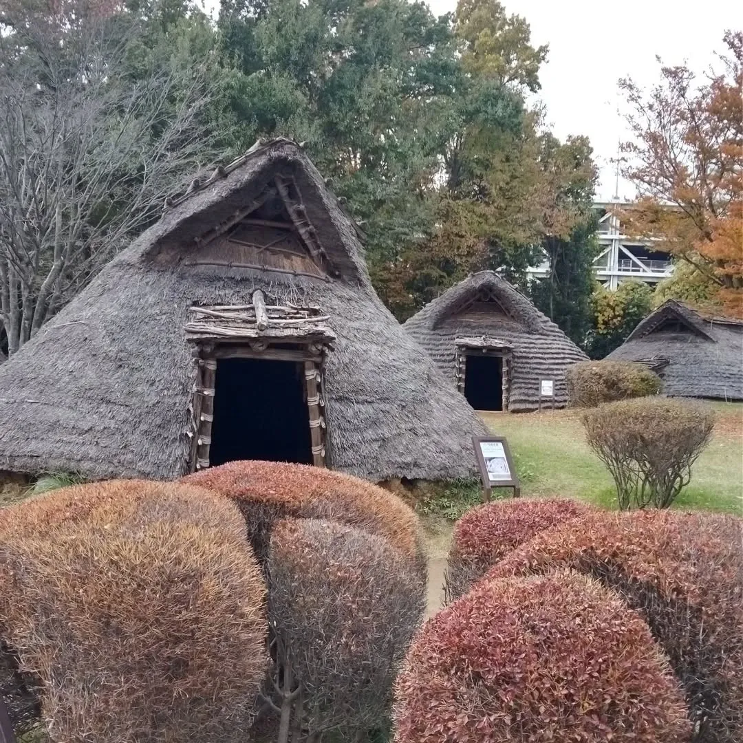 横浜市都筑区の歳勝土公園。