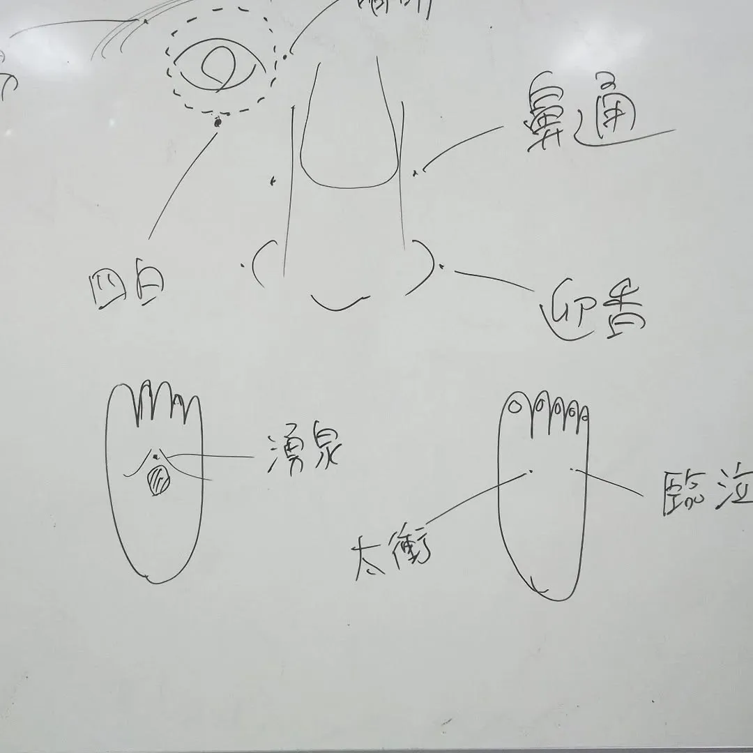 ツボの位置と効用の授業。