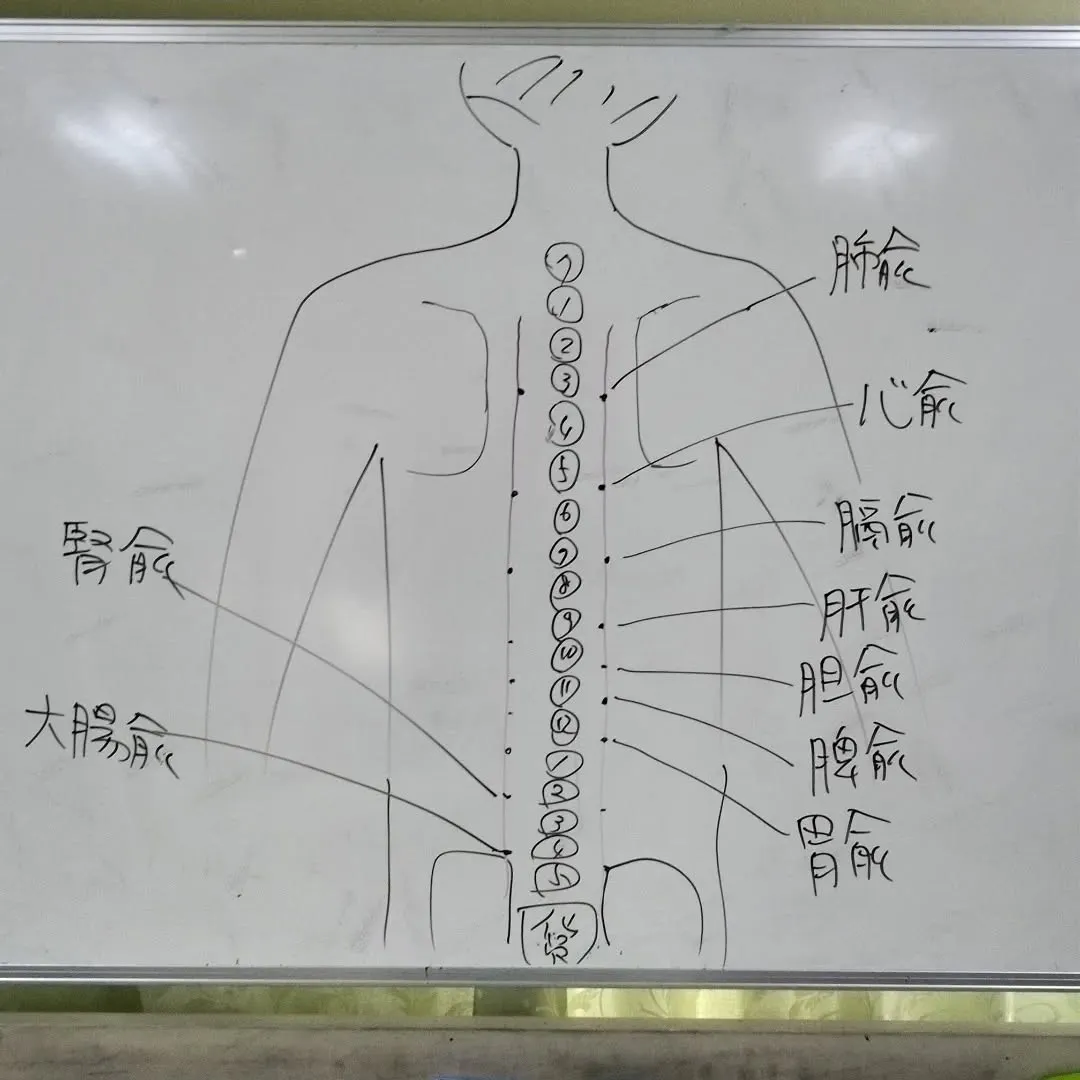 気功サロン応用講座のゆけつの授業。