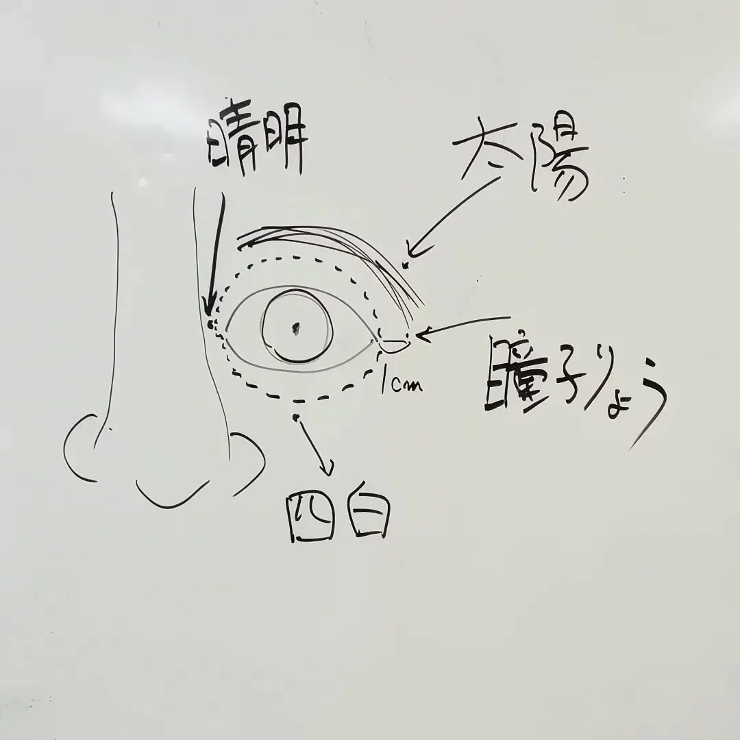 気功サロンの今日のマスタークラス授業