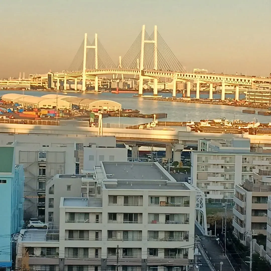 港の見える公園からベイブリッジを望む。