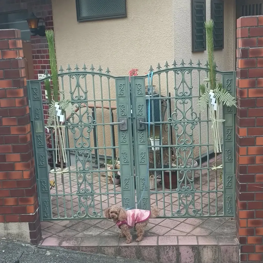 今日は大晦日。