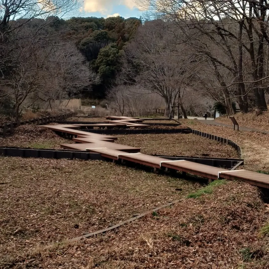 冬の四季の森公園🎄
