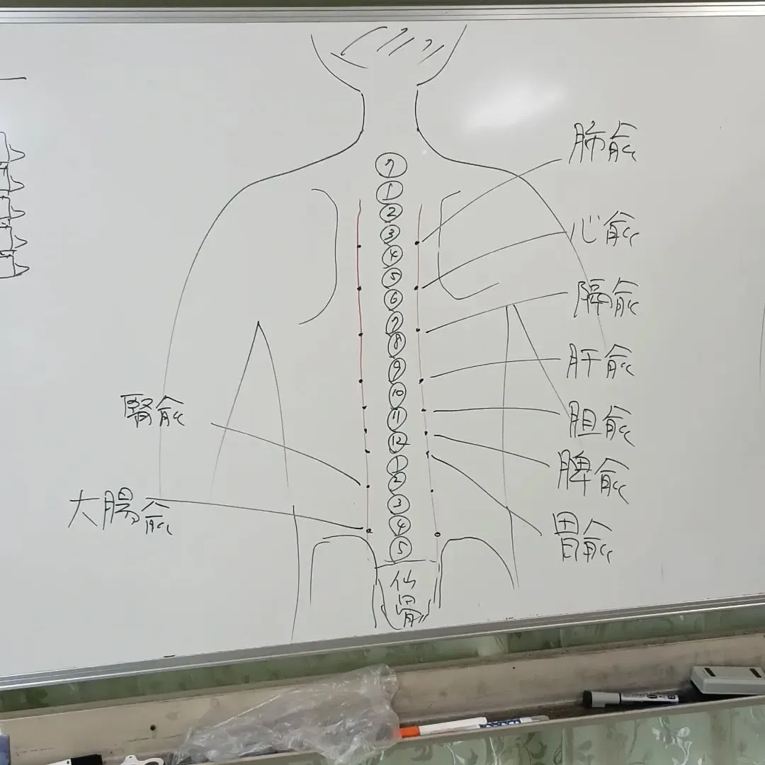 気功サロンの整体授業