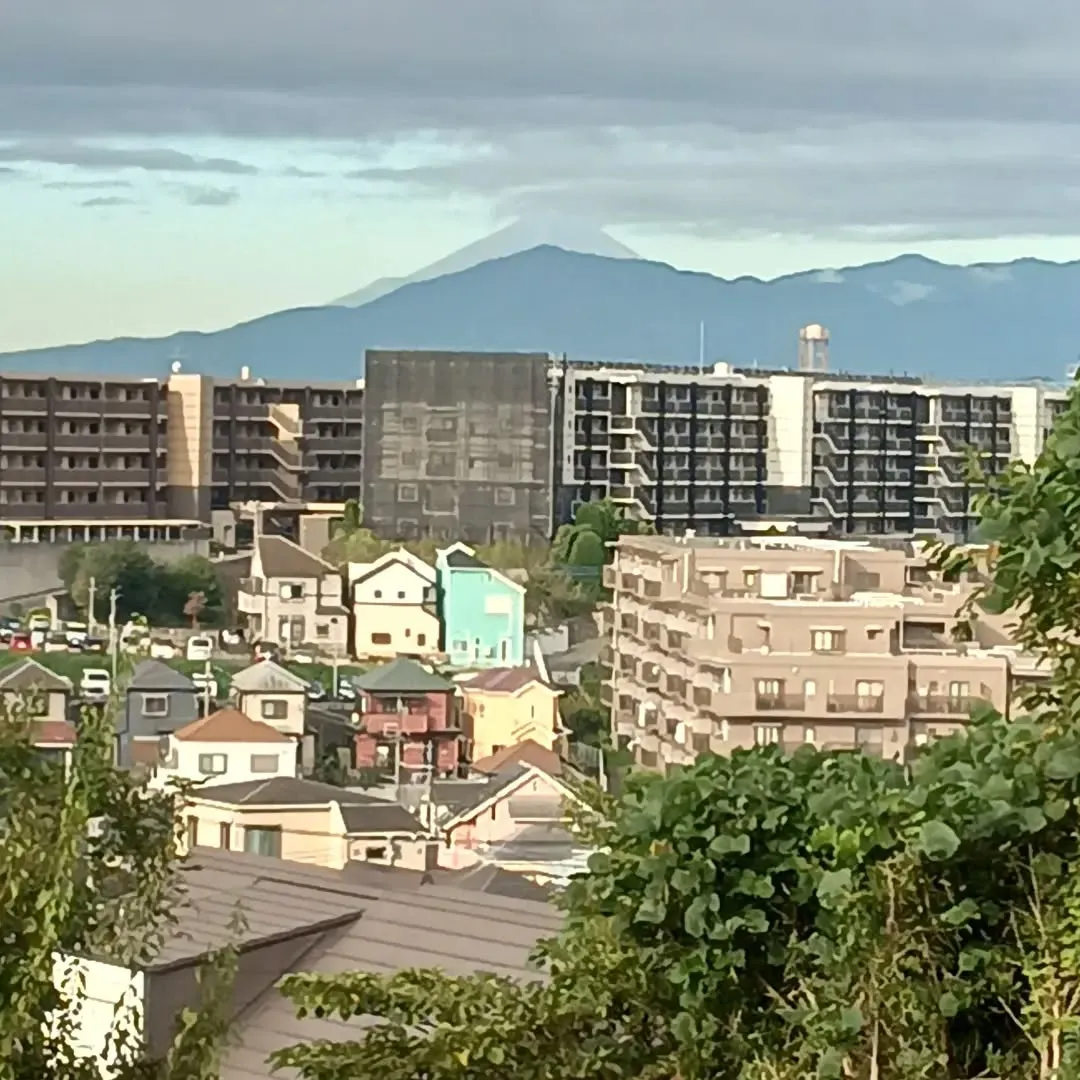 久しぶりに良く見えた富士山